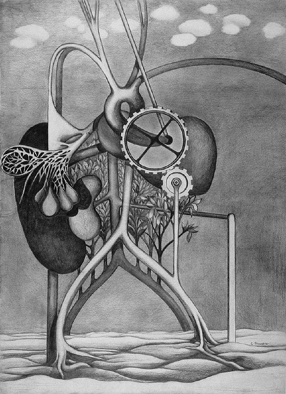 [Apparition], [1972], pencil