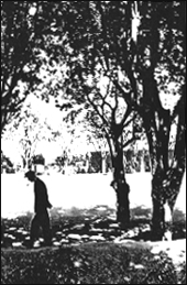 Arles, 1962