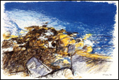 Tidal Rocks