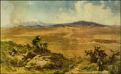 Mexican landscape