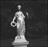 Flora