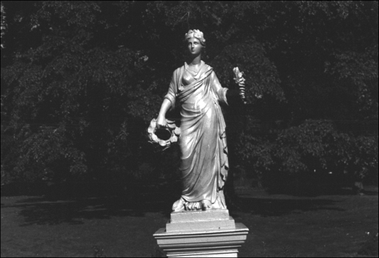 Flora